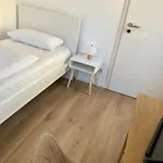 Hostel Minimal Kreuzberg Berlín